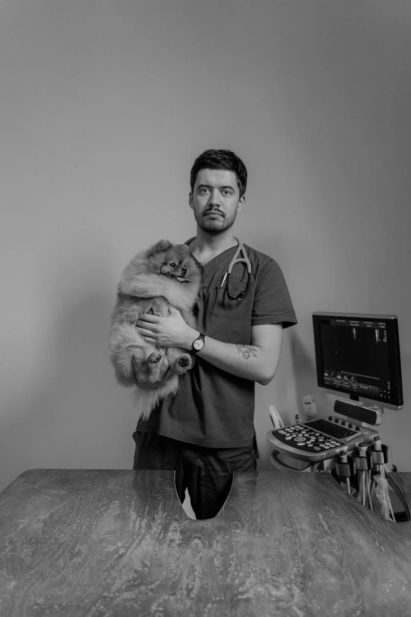 VETISA - VETERINÁRIO DOMICÍLIO E CONSULTÓRIO - equipe